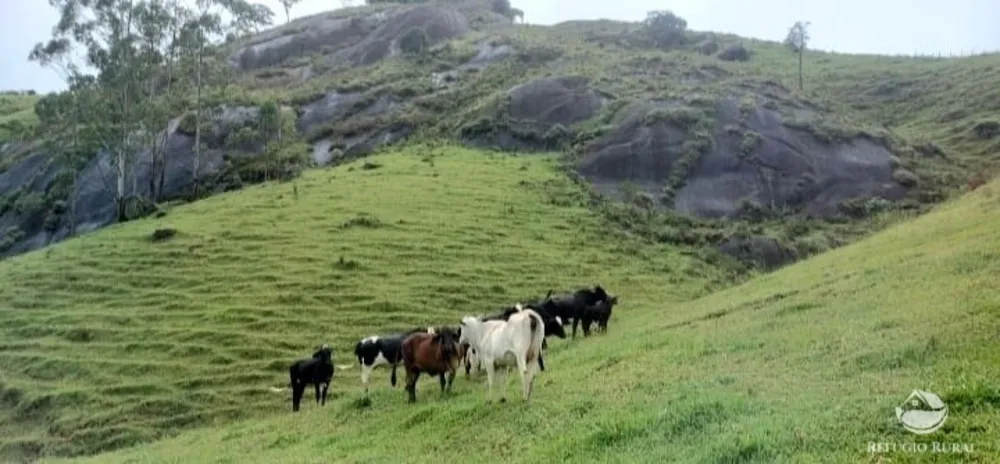 Terreno, 12 hectares - Foto 15