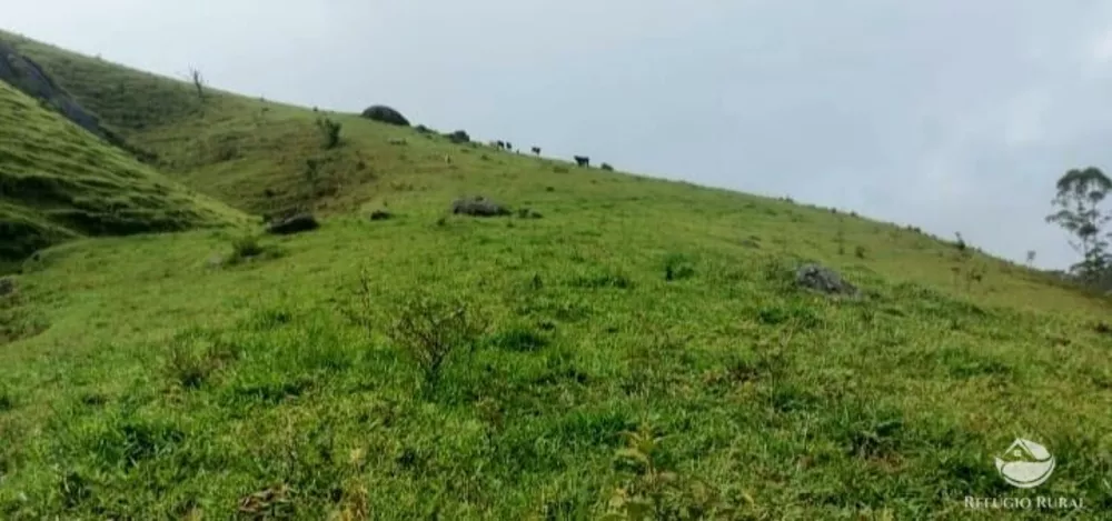 Terreno, 12 hectares - Foto 2