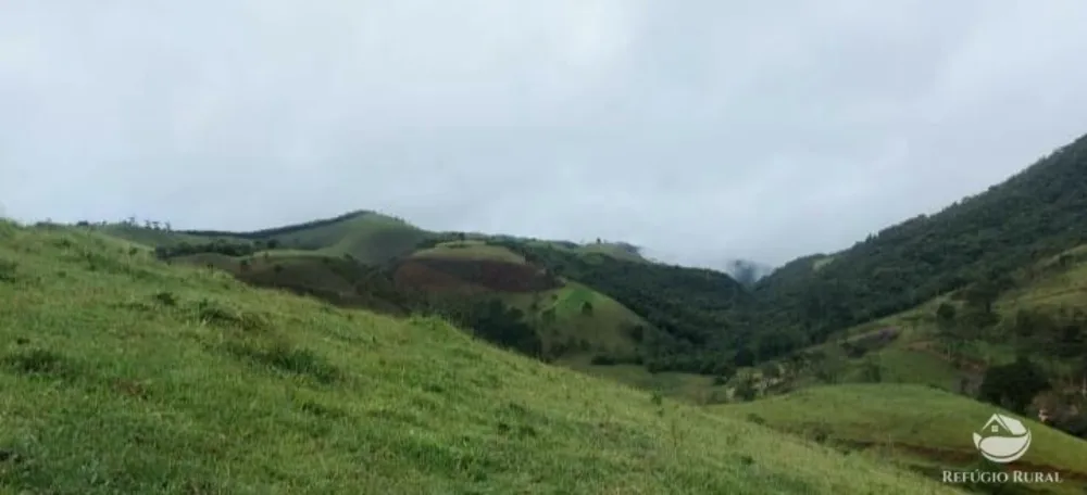 Terreno, 12 hectares - Foto 9
