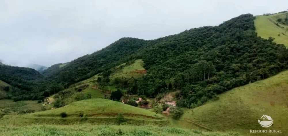 Terreno, 12 hectares - Foto 6