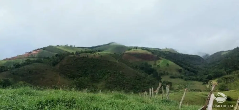 Terreno, 12 hectares - Foto 13