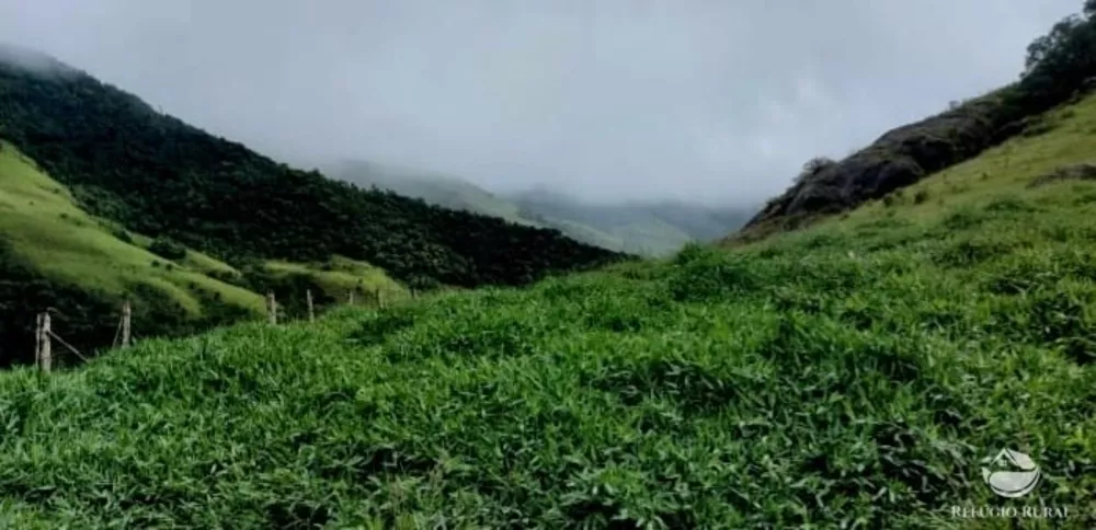 Terreno, 12 hectares - Foto 3