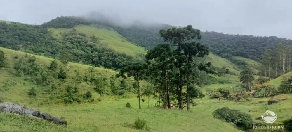 Terreno, 12 hectares - Foto 11