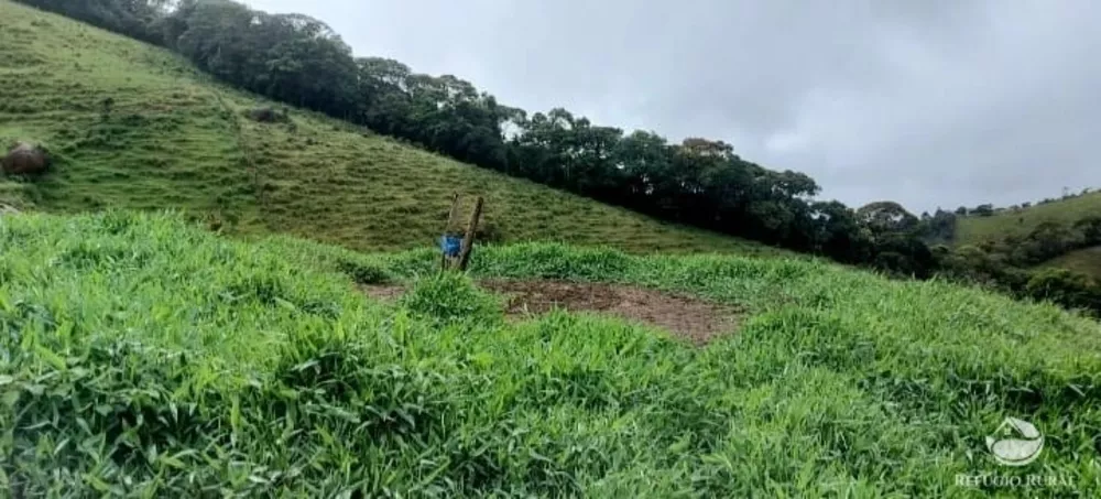 Terreno, 12 hectares - Foto 4