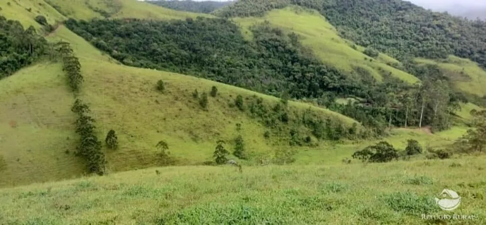 Terreno, 12 hectares - Foto 1