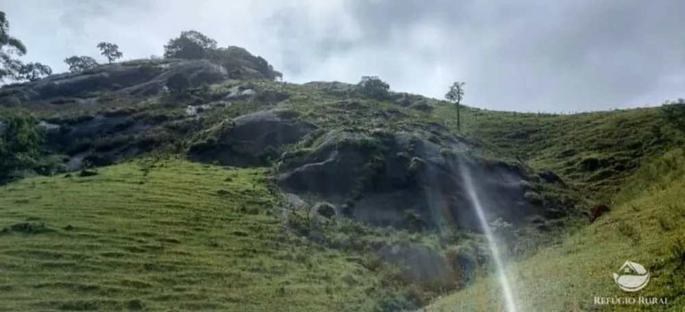 Terreno, 12 hectares - Foto 8