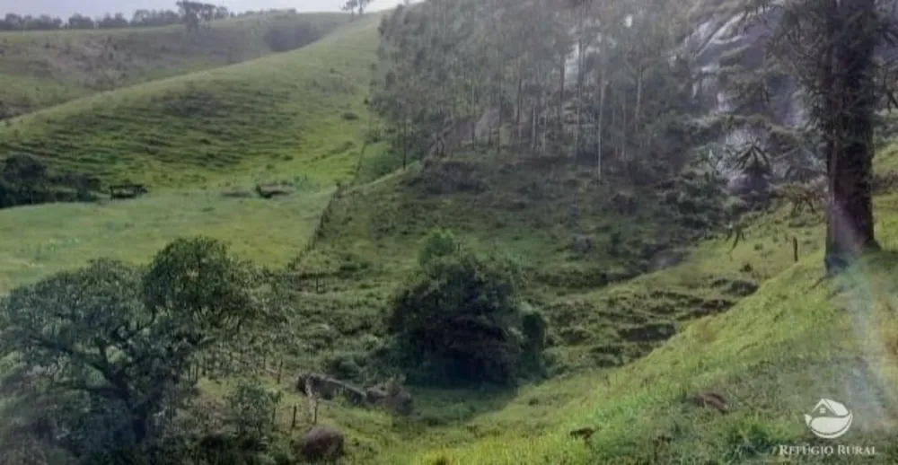 Terreno, 12 hectares - Foto 7