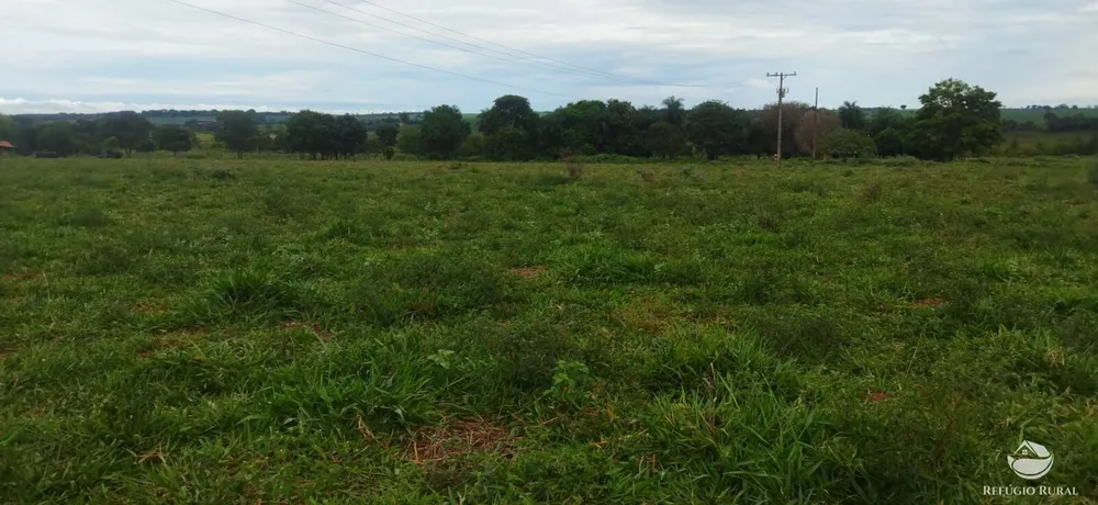 Sítio, 10 hectares - Foto 4