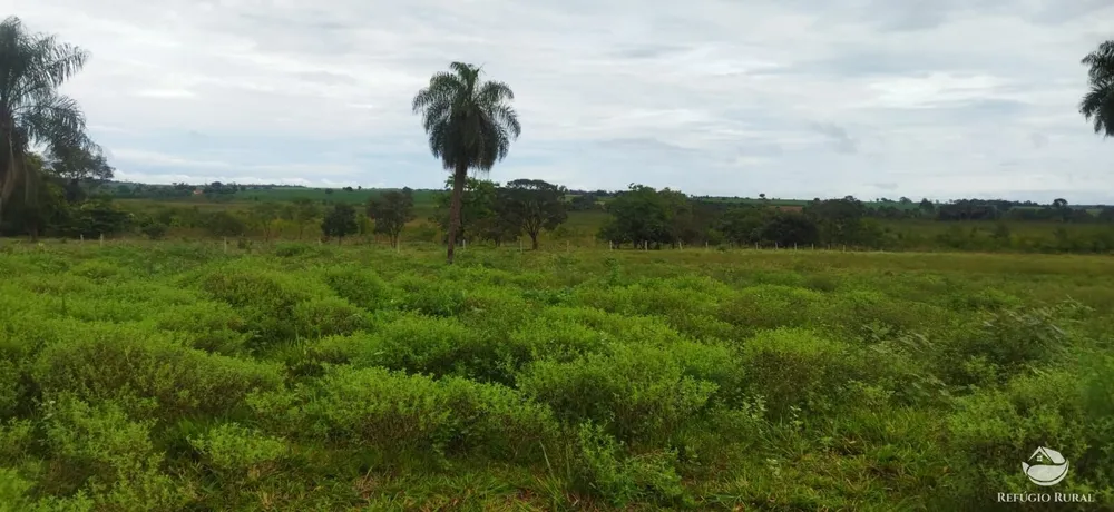 Sítio, 10 hectares - Foto 17