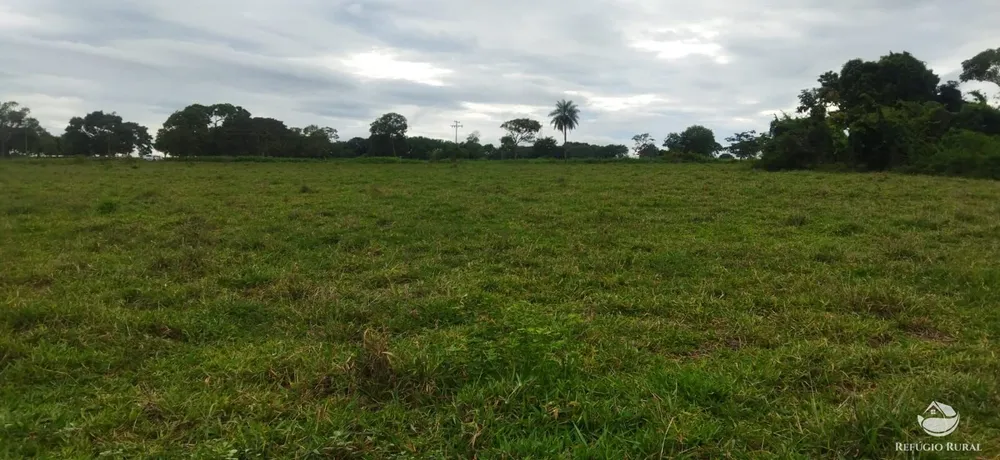 Sítio, 10 hectares - Foto 6