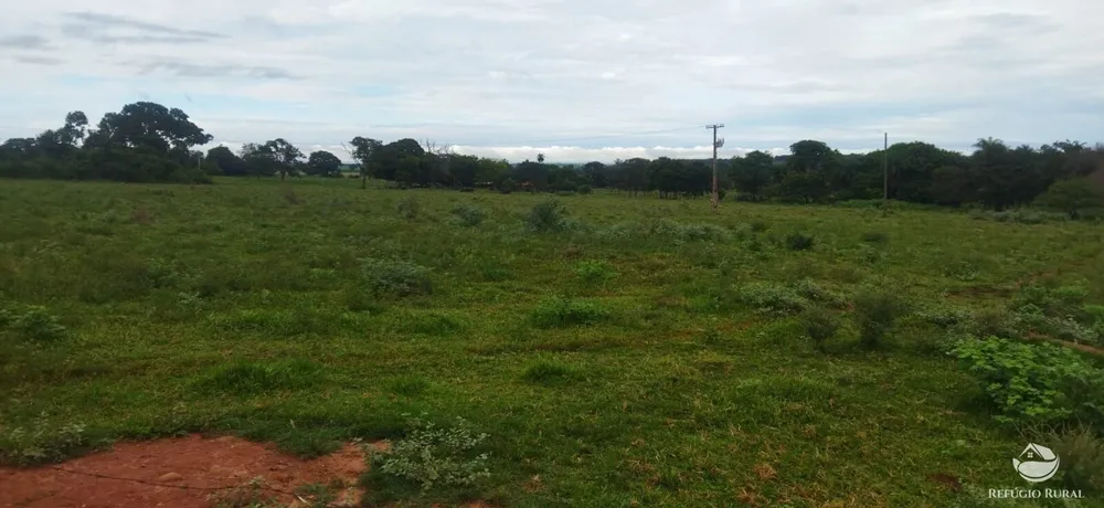 Sítio, 10 hectares - Foto 19