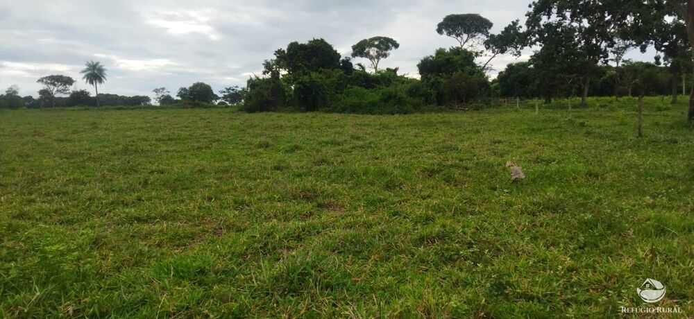 Sítio à venda com 1 quarto, 96800m² - Foto 1