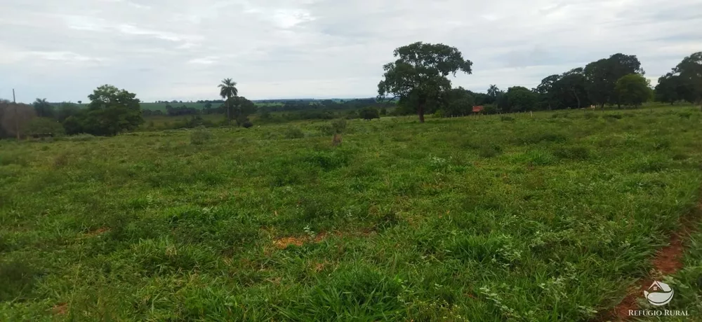 Sítio, 10 hectares - Foto 3