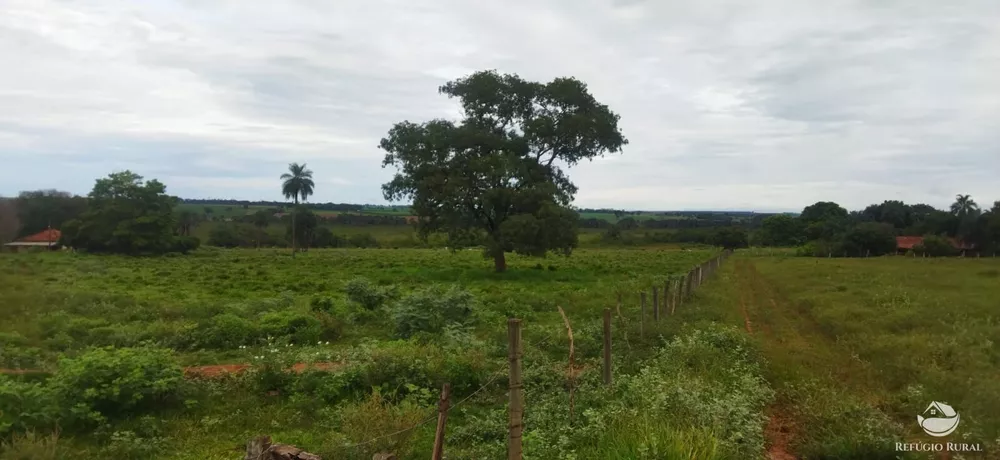 Sítio, 10 hectares - Foto 1