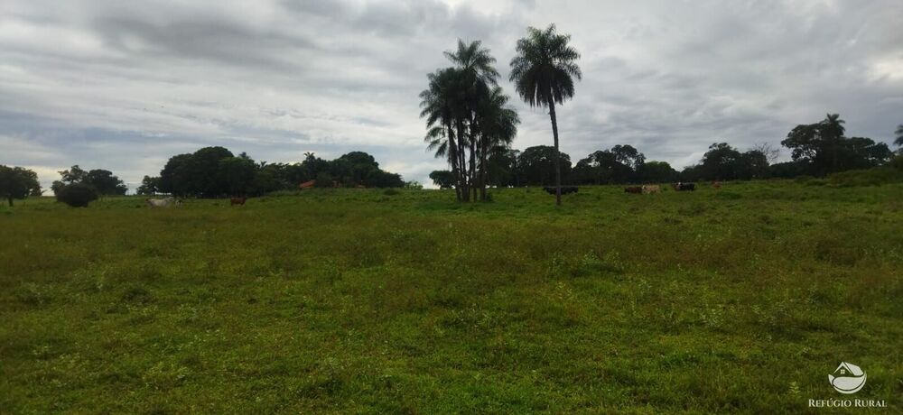 Sítio à venda com 1 quarto, 96800m² - Foto 8