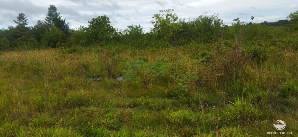 Sítio à venda com 1 quarto, 96800m² - Foto 10