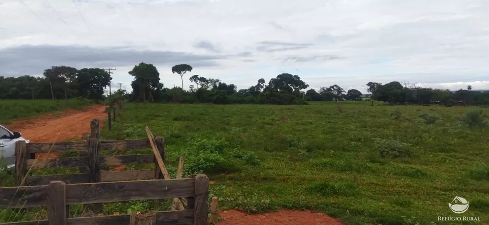 Sítio, 10 hectares - Foto 2