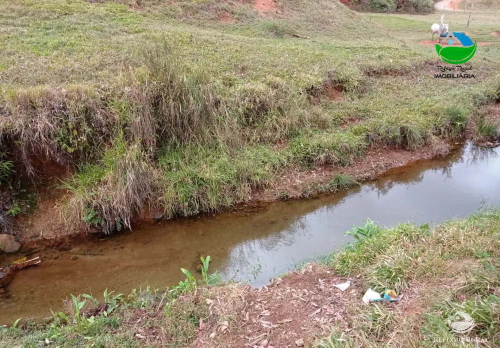 Fazenda, 280 hectares - Foto 6