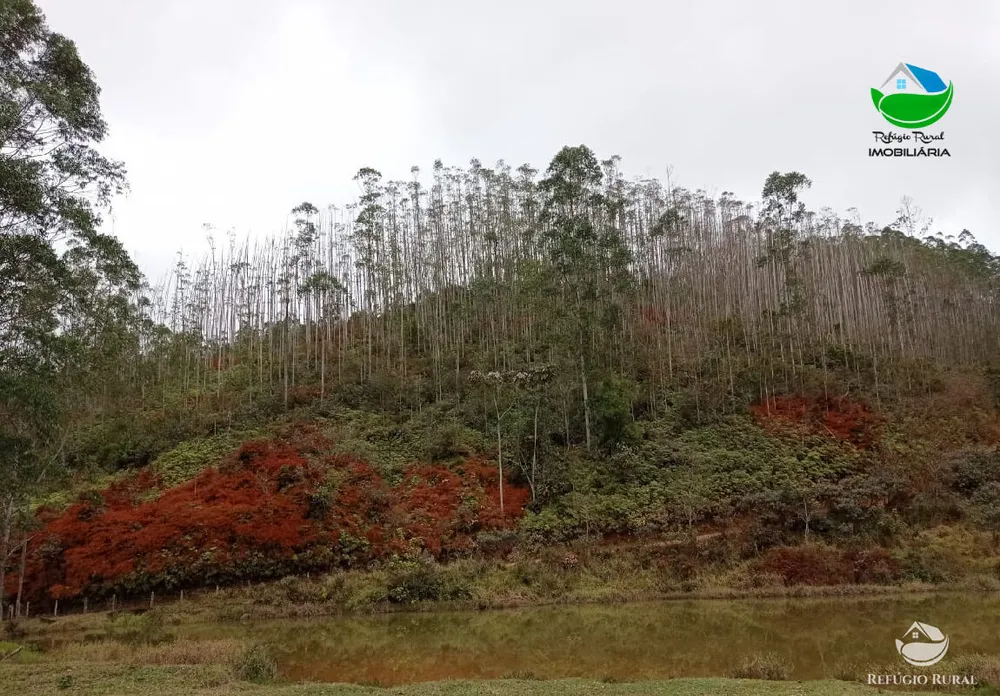 Fazenda, 280 hectares - Foto 13