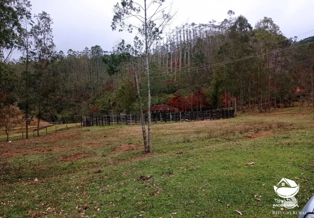 Fazenda, 280 hectares - Foto 15