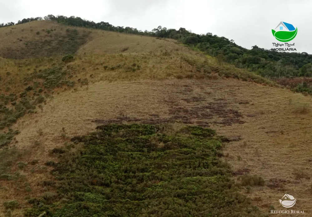 Fazenda, 280 hectares - Foto 14