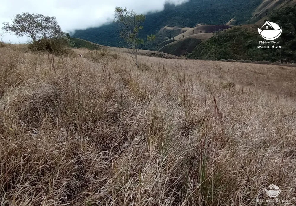 Fazenda, 280 hectares - Foto 8