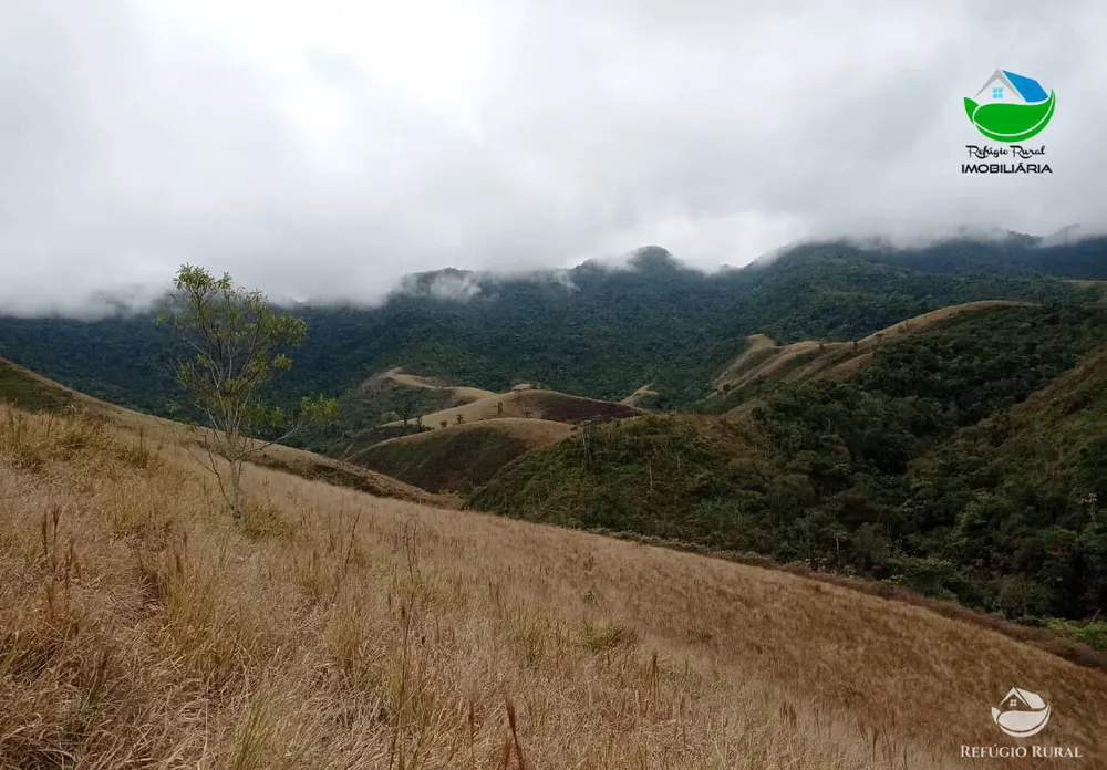 Fazenda, 280 hectares - Foto 12