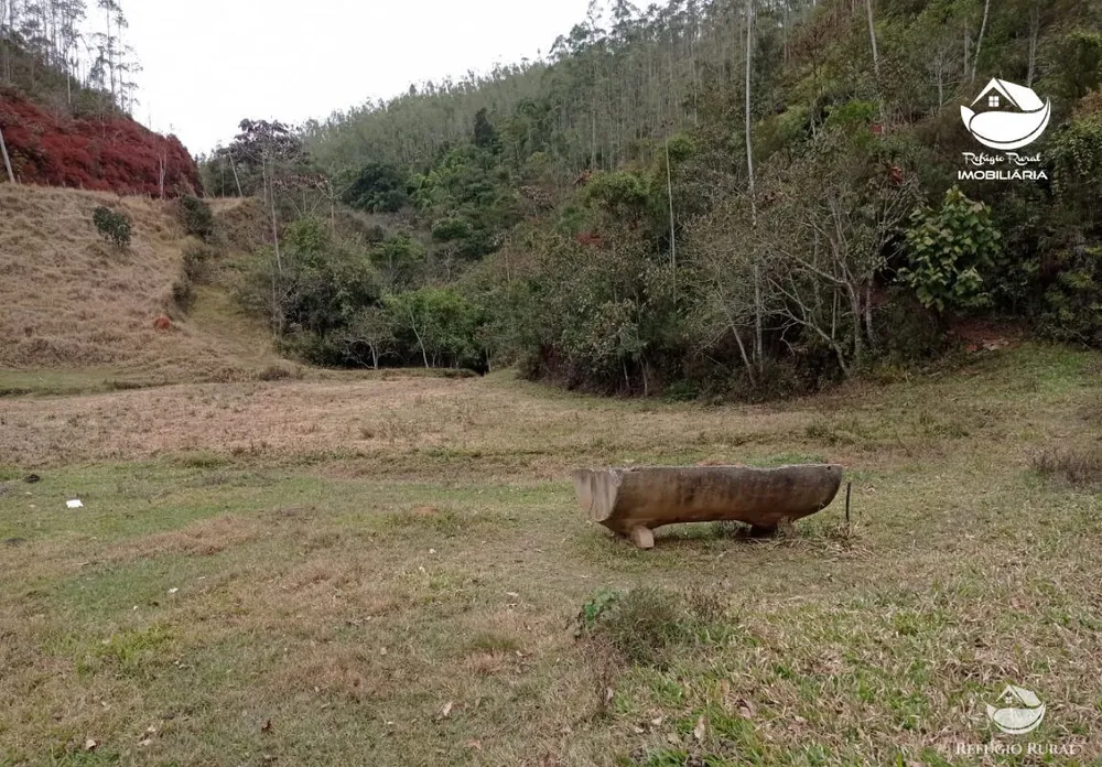 Fazenda, 280 hectares - Foto 7