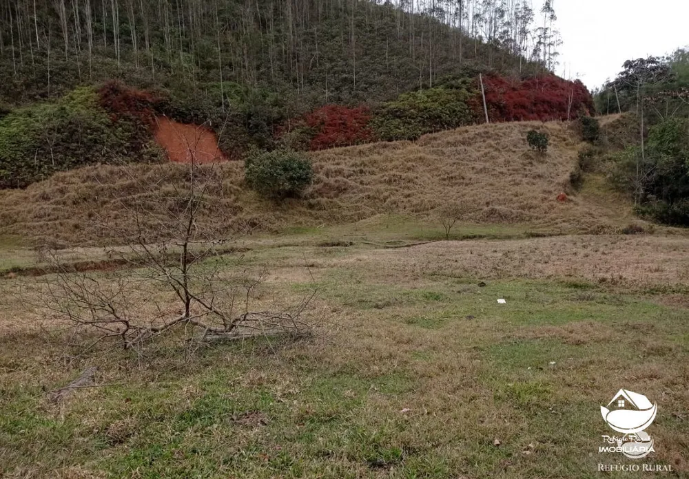 Fazenda, 280 hectares - Foto 10