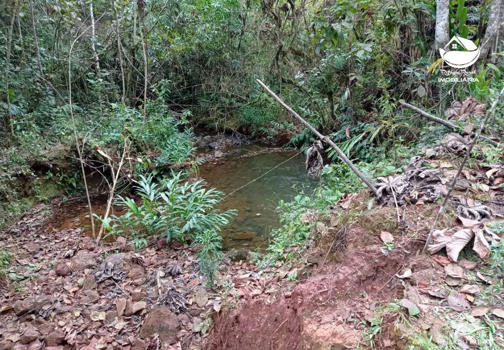 Fazenda, 280 hectares - Foto 16
