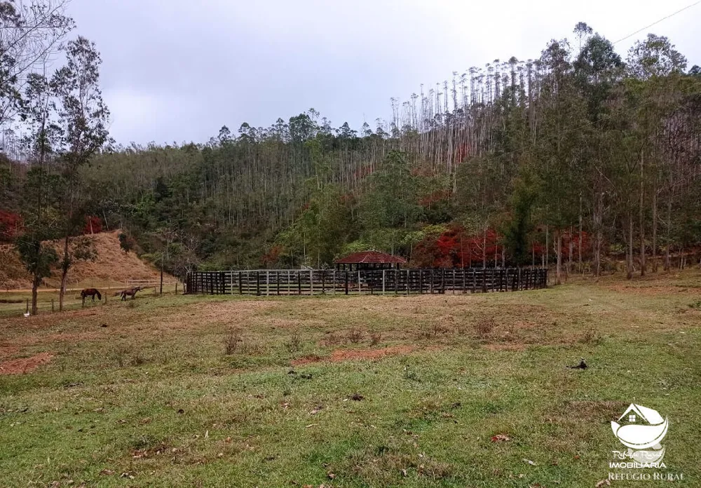 Fazenda, 280 hectares - Foto 11