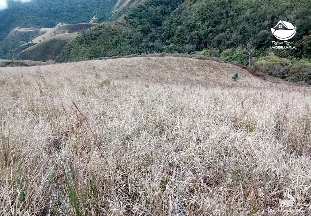 Fazenda, 280 hectares - Foto 3
