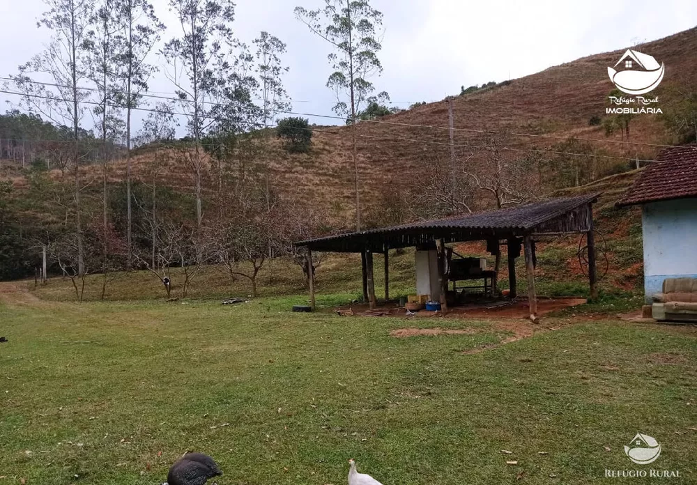 Fazenda, 280 hectares - Foto 4
