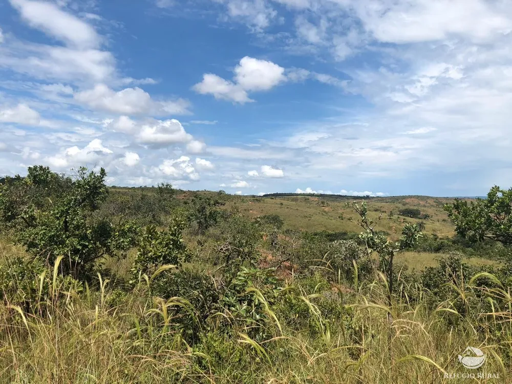 Fazenda, 528 hectares - Foto 11