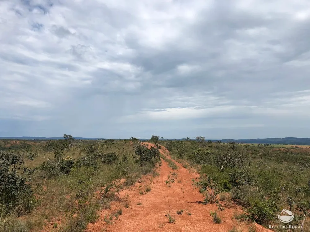 Fazenda, 528 hectares - Foto 7