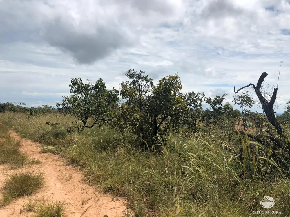 Fazenda, 528 hectares - Foto 12