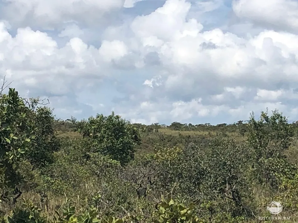 Fazenda, 528 hectares - Foto 10