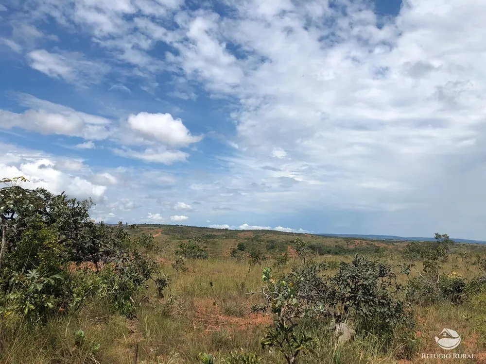 Fazenda, 528 hectares - Foto 6