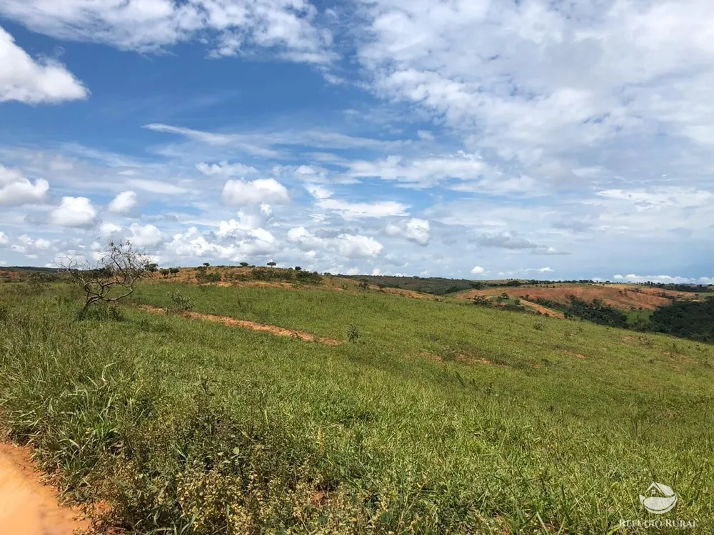 Fazenda, 528 hectares - Foto 1