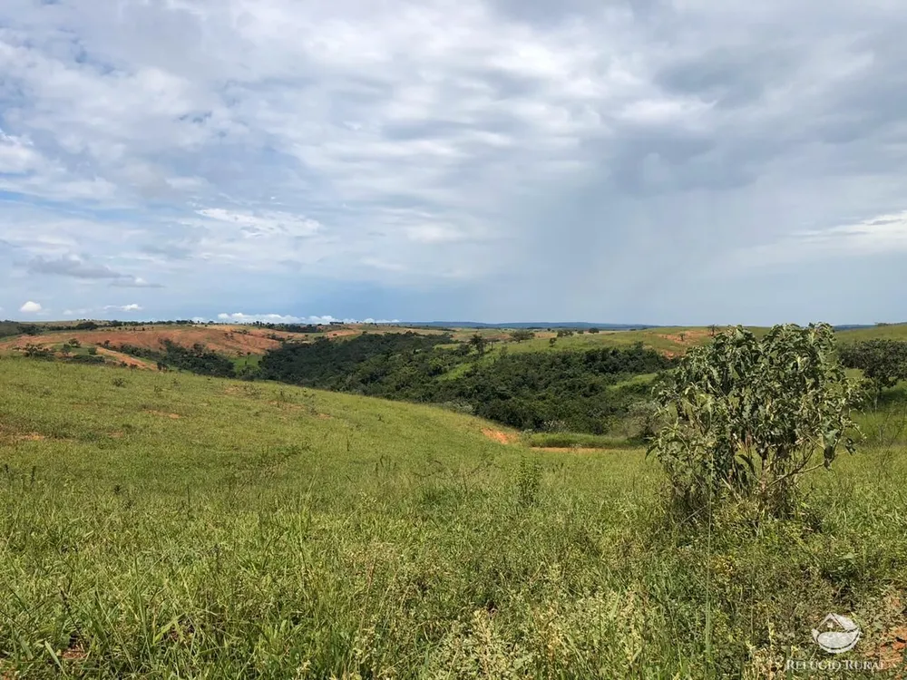 Fazenda, 528 hectares - Foto 2