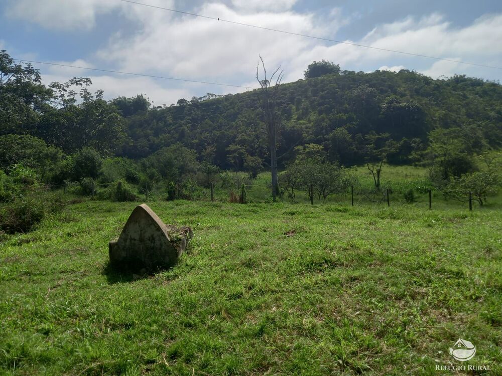 Fazenda-Sítio-Chácara, 271 hectares - Foto 3