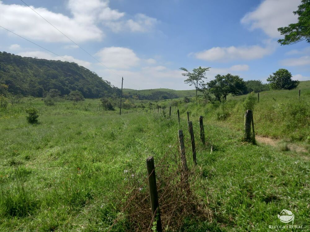 Fazenda-Sítio-Chácara, 271 hectares - Foto 4