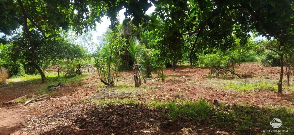 Sítio à venda com 1 quarto, 48400m² - Foto 17