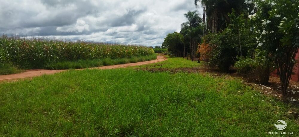 Sítio à venda com 1 quarto, 48400m² - Foto 7