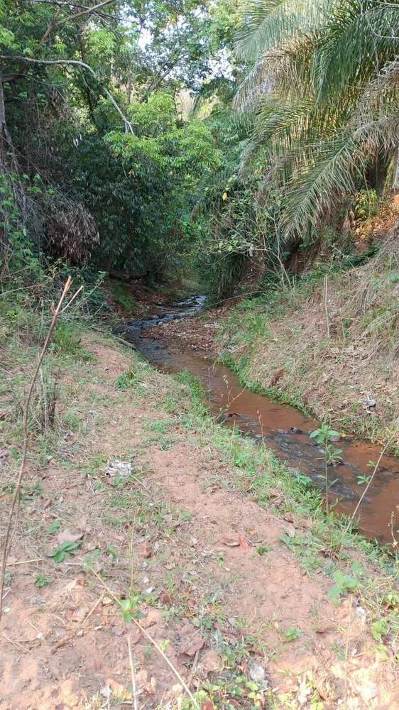 Fazenda, 135 hectares - Foto 2