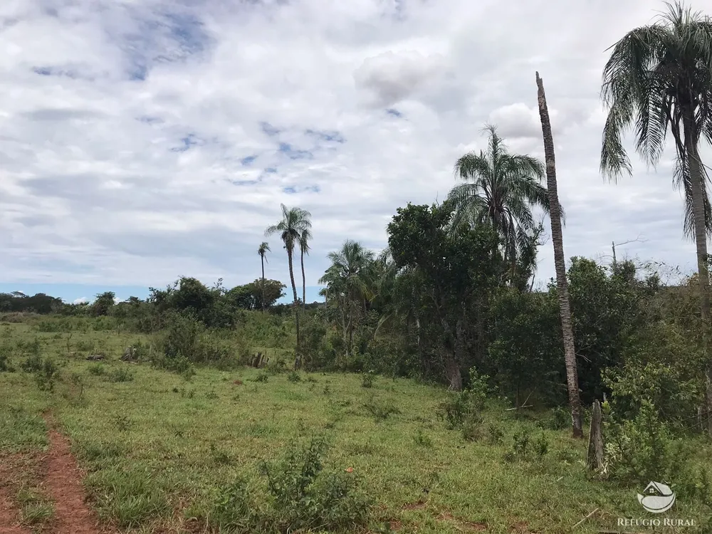 Fazenda, 135 hectares - Foto 1