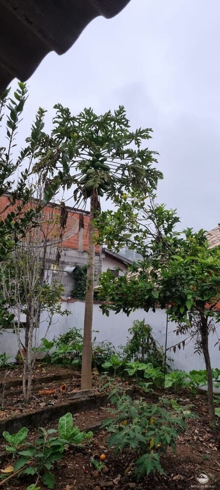 Casa à venda com 4 quartos - Foto 17