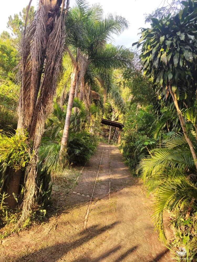 Chácara à venda com 3 quartos, 5000m² - Foto 3