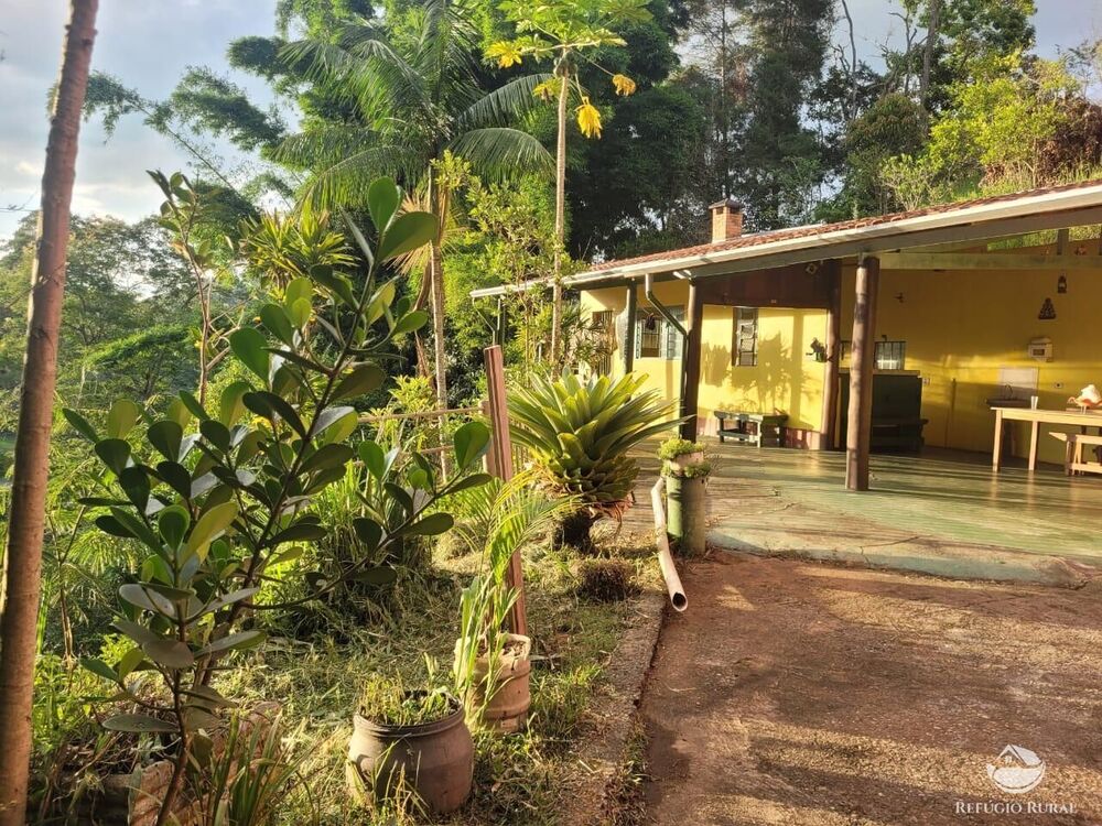 Chácara à venda com 3 quartos, 5000m² - Foto 4