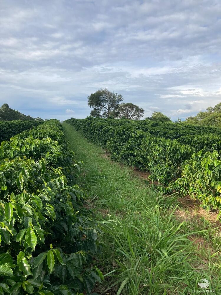 Fazenda à venda com 6 quartos, 938700m² - Foto 4